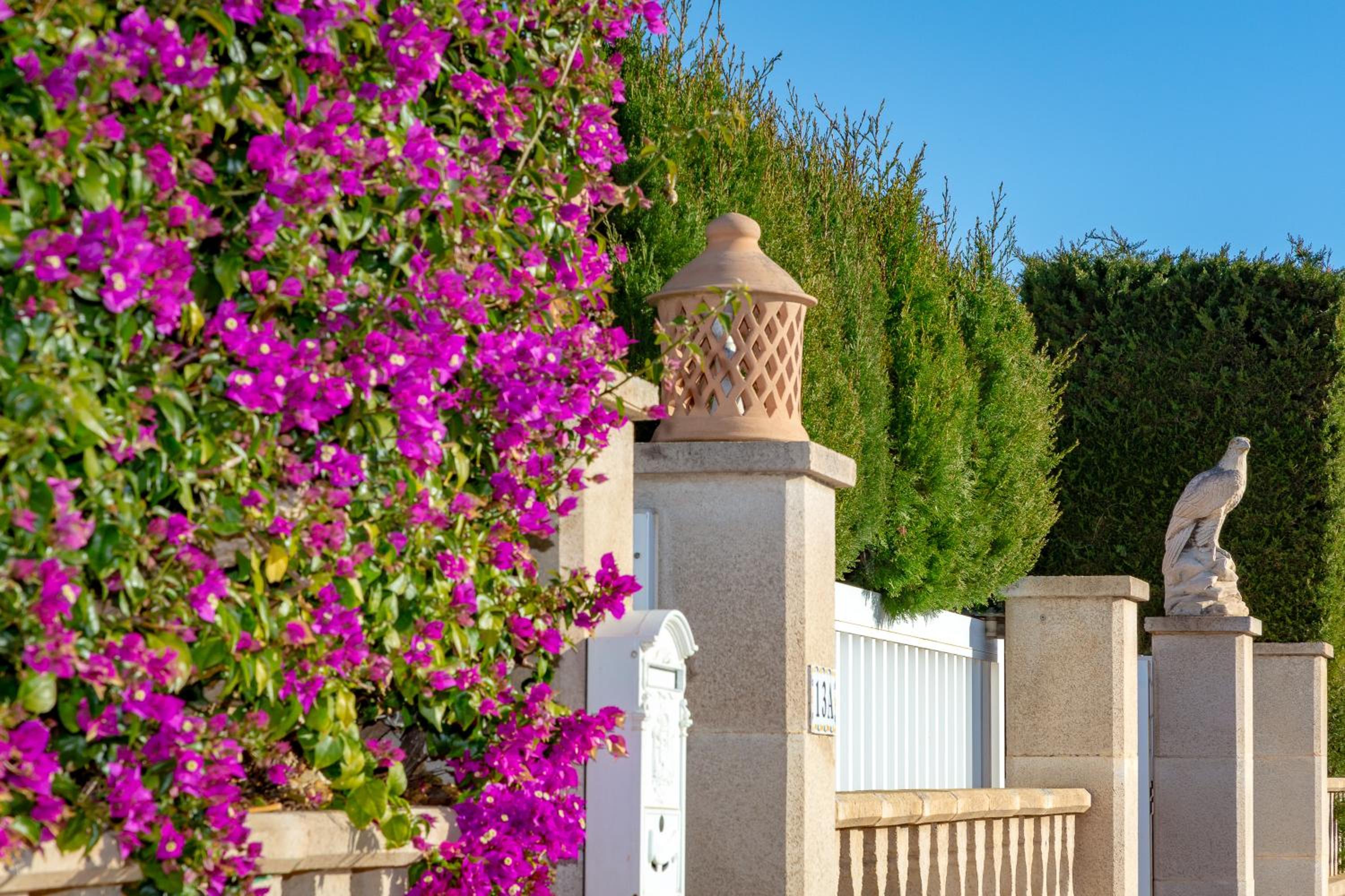 Villa Palmera