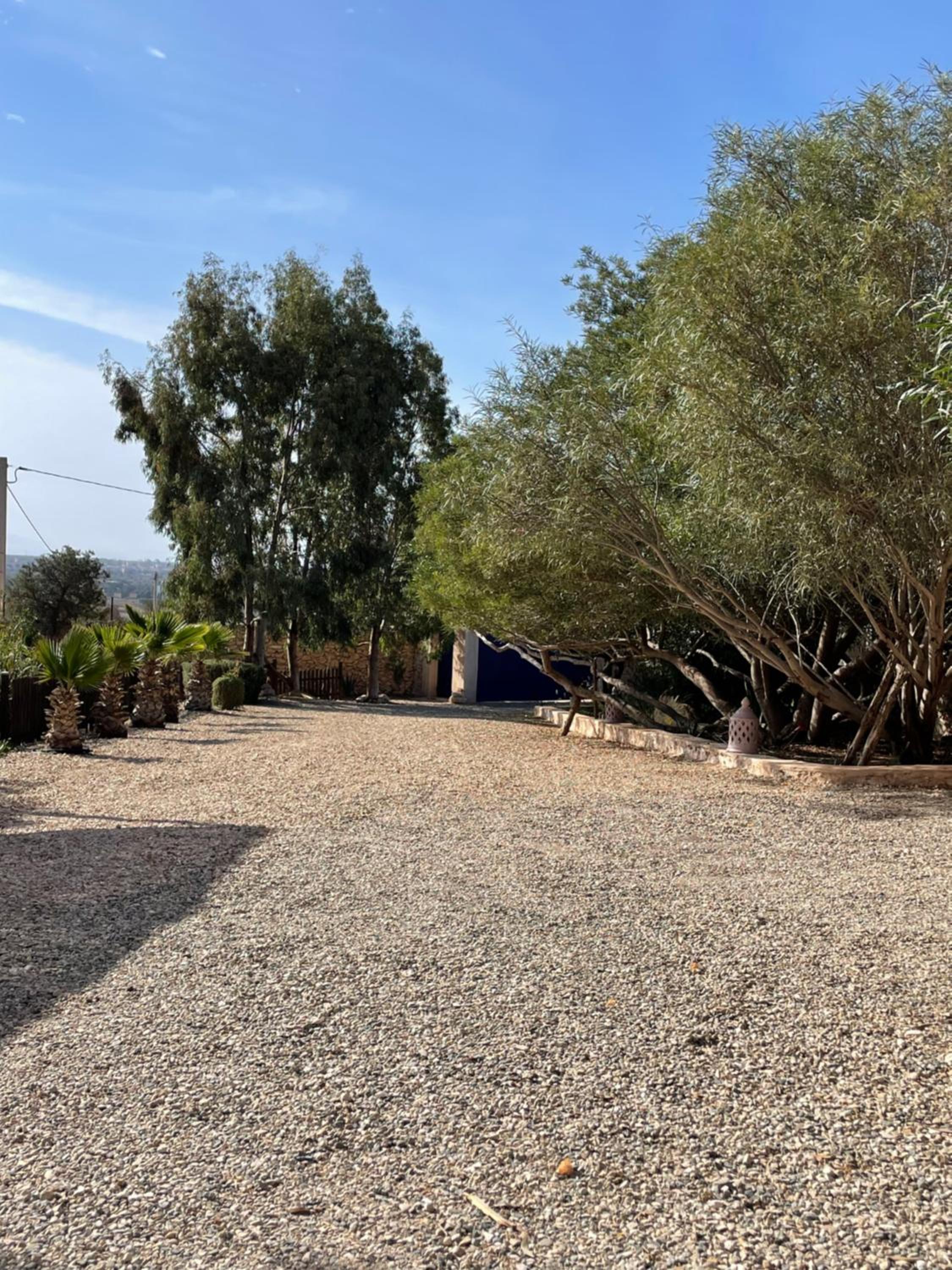 Dar Volubilis spacieuse villa avec piscine, 5 chambres vue sur forêt view 4