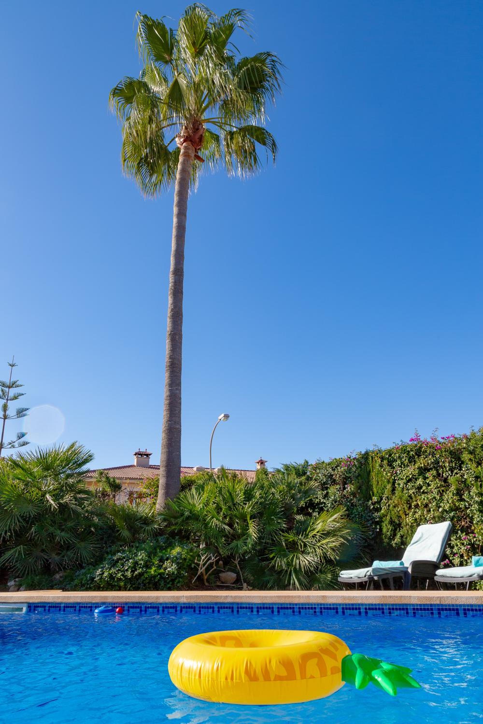Villa Palmera