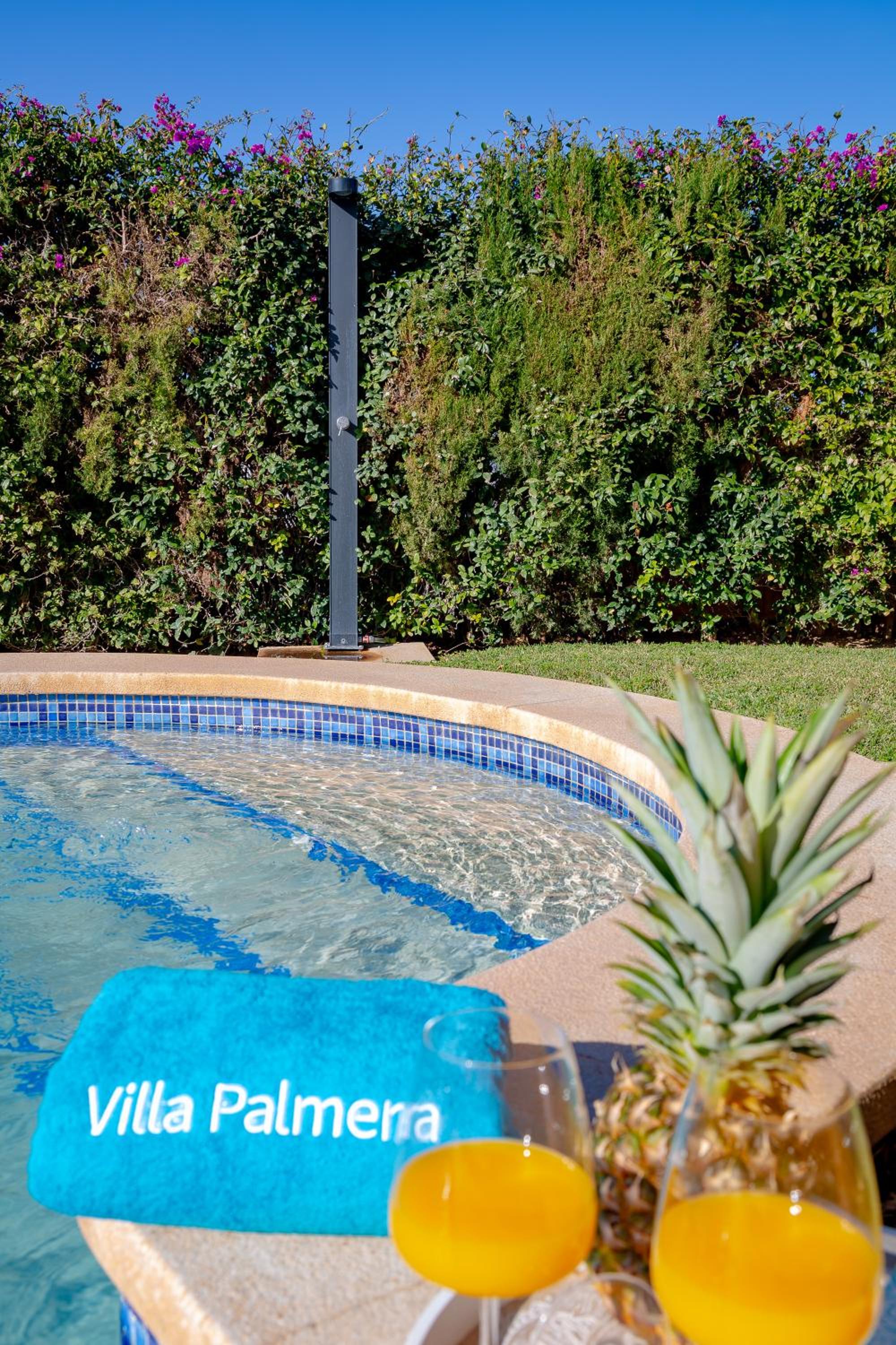Villa Palmera