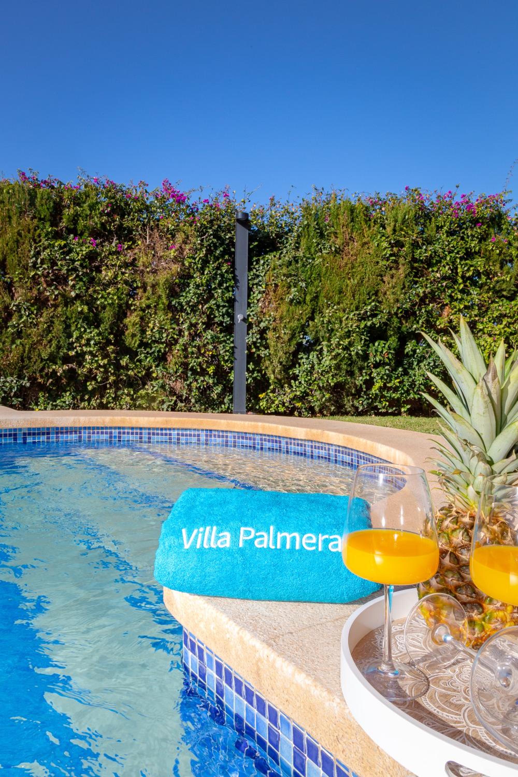 Villa Palmera