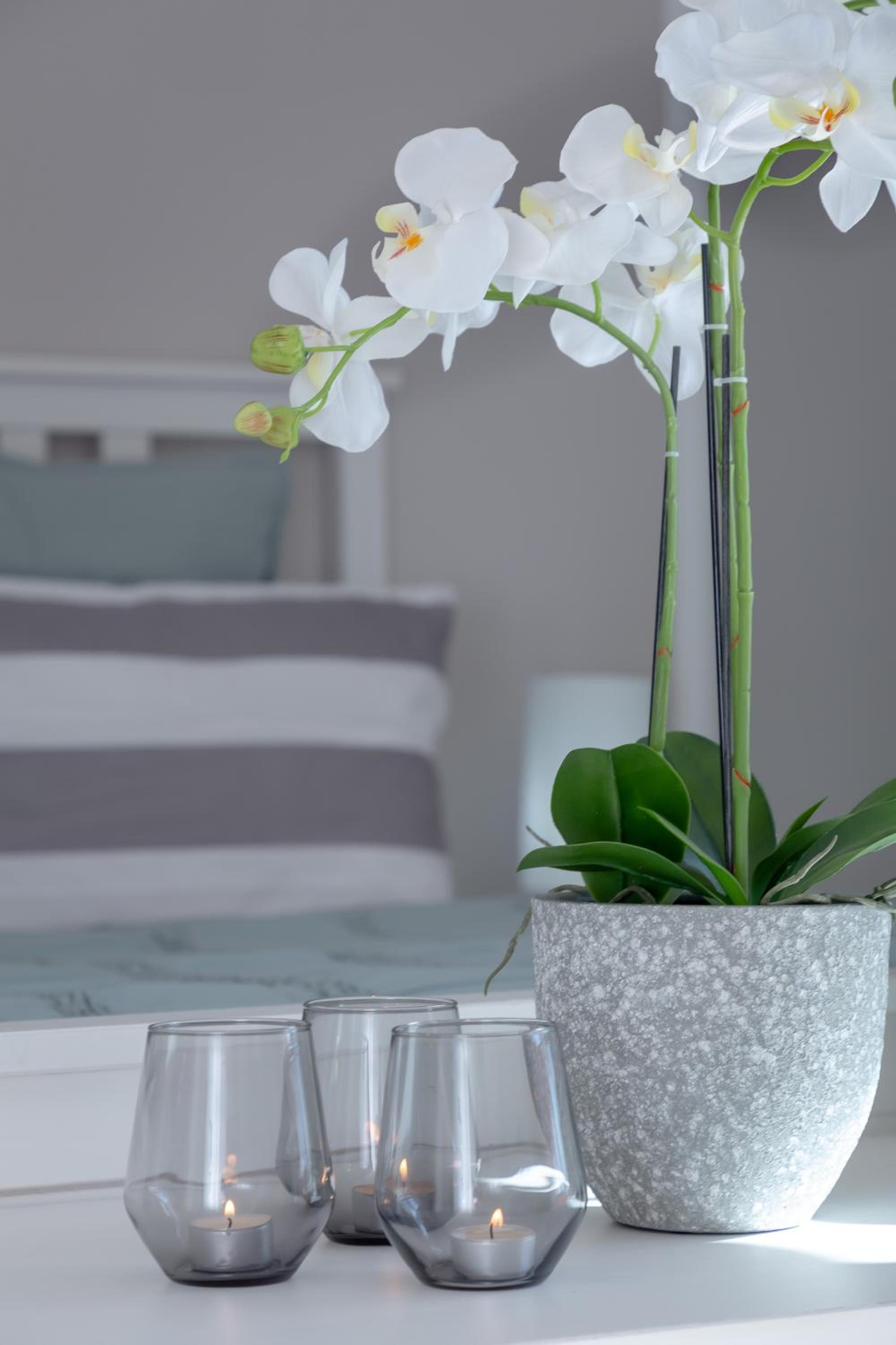 Villa Palmera