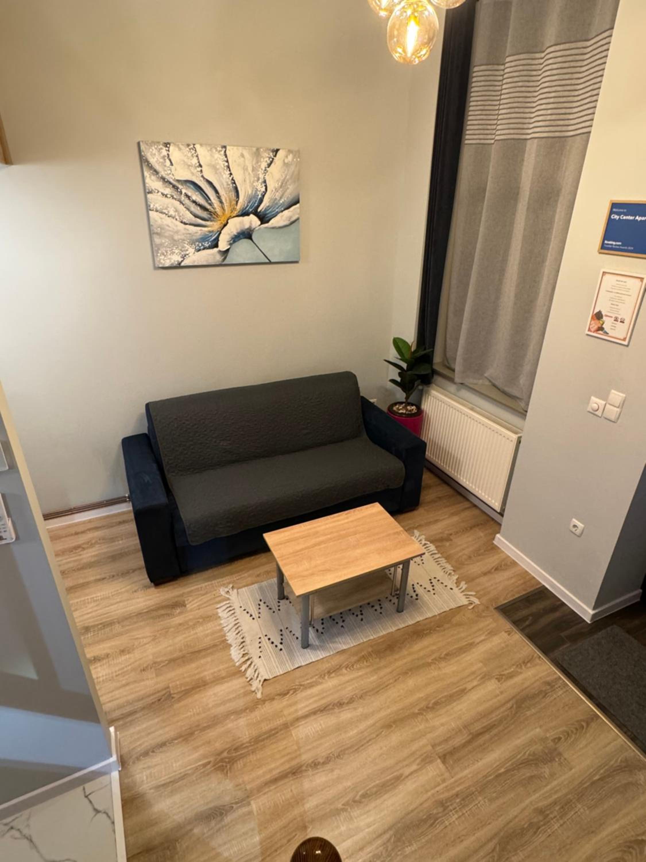 City Center Apartman view 2