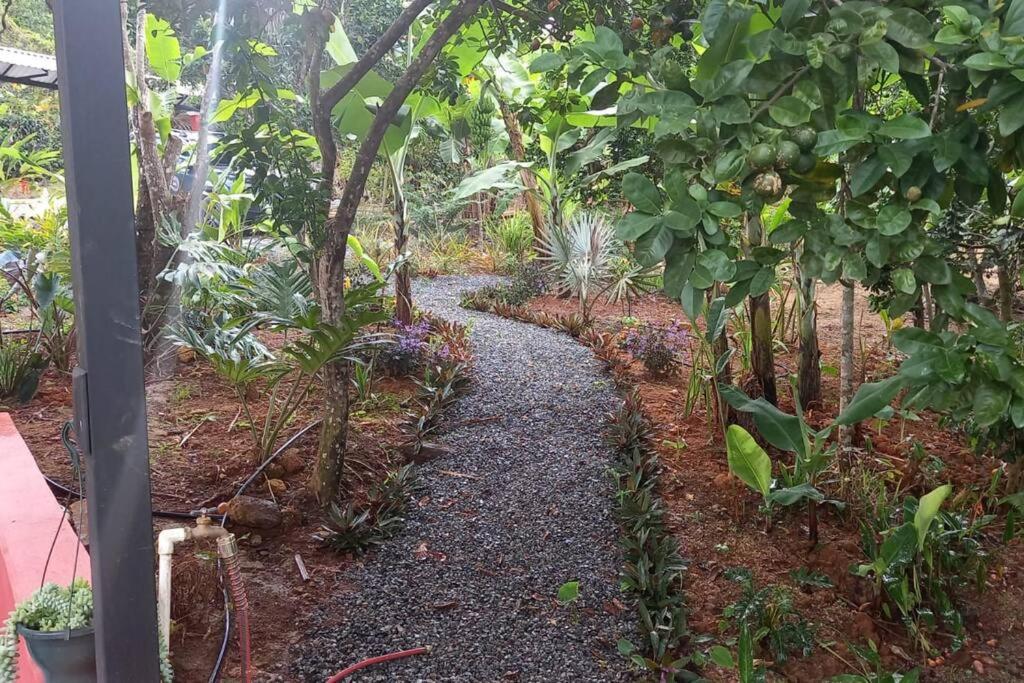Casa Hummingbird Peace & Nature