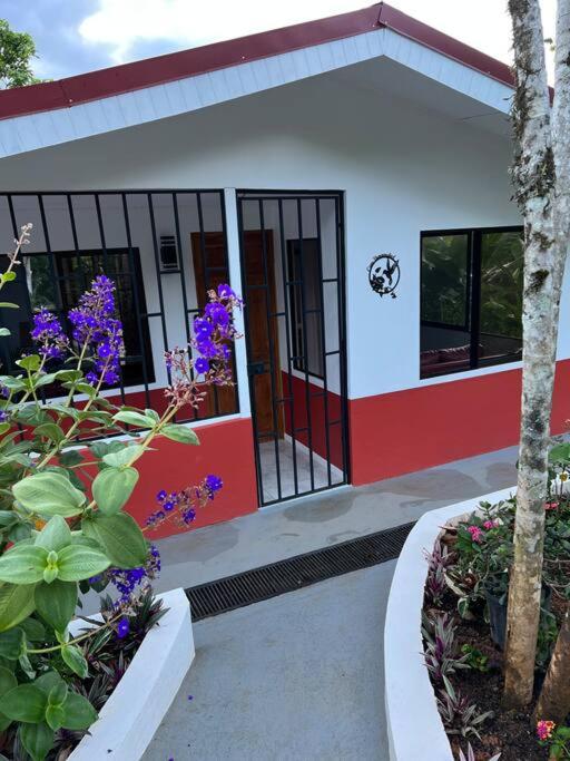 Casa Hummingbird Peace & Nature