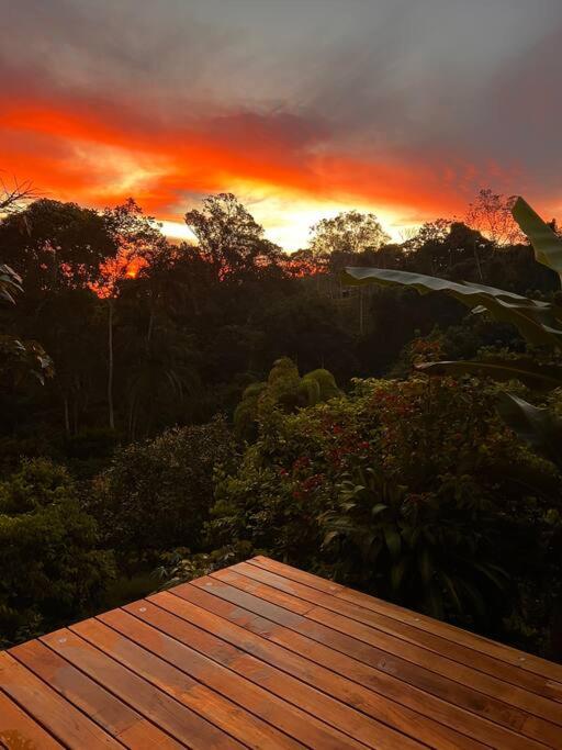 Casa Hummingbird Peace & Nature