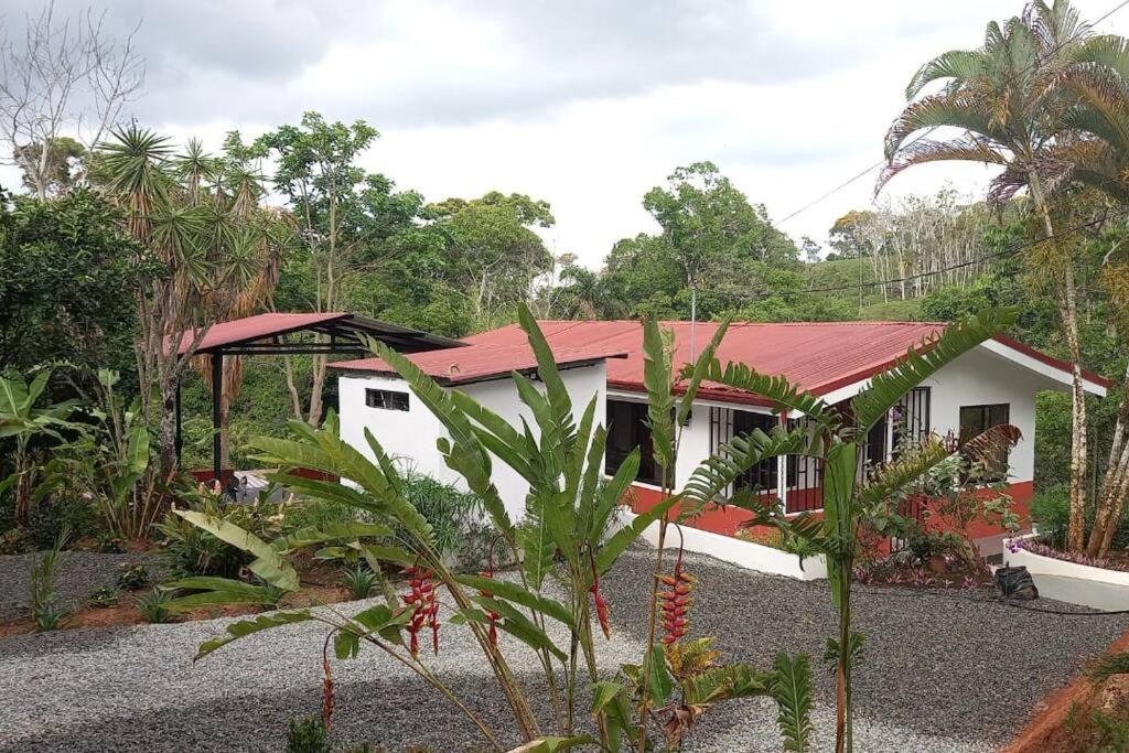 Casa Hummingbird Peace & Nature
