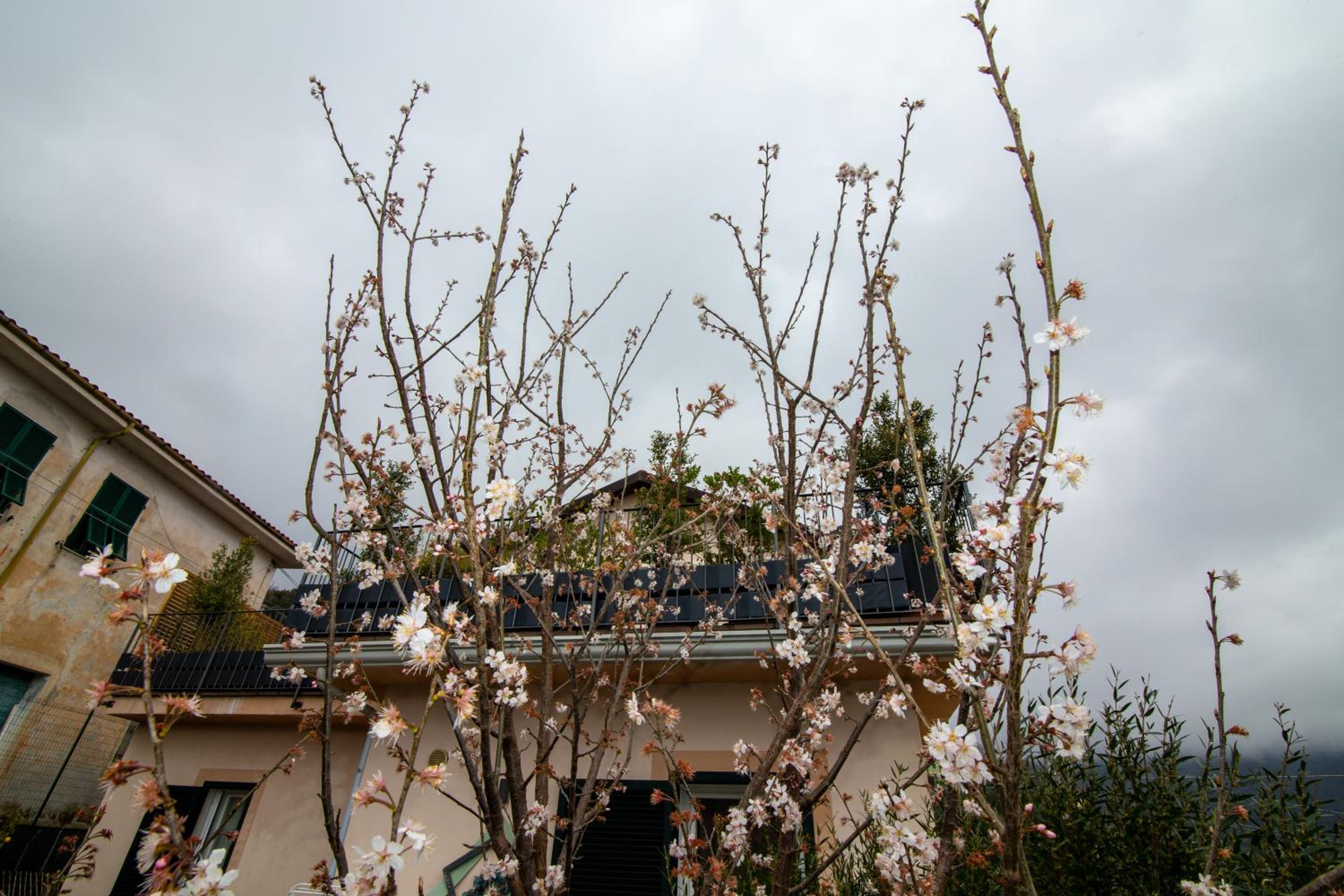 Photo 40