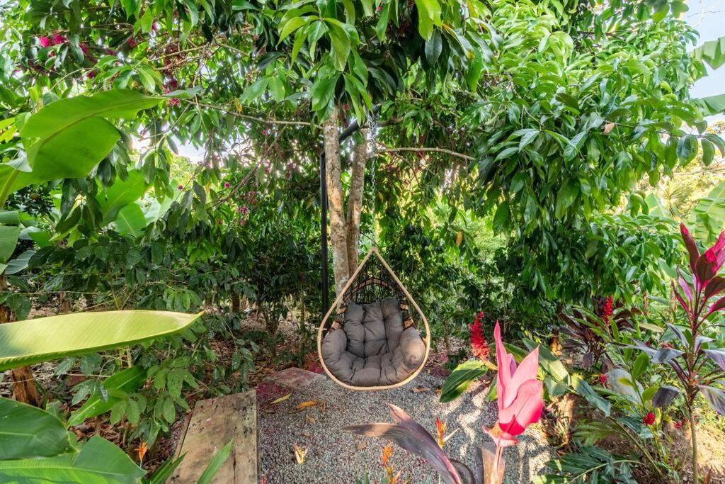 Casa Hummingbird Peace & Nature