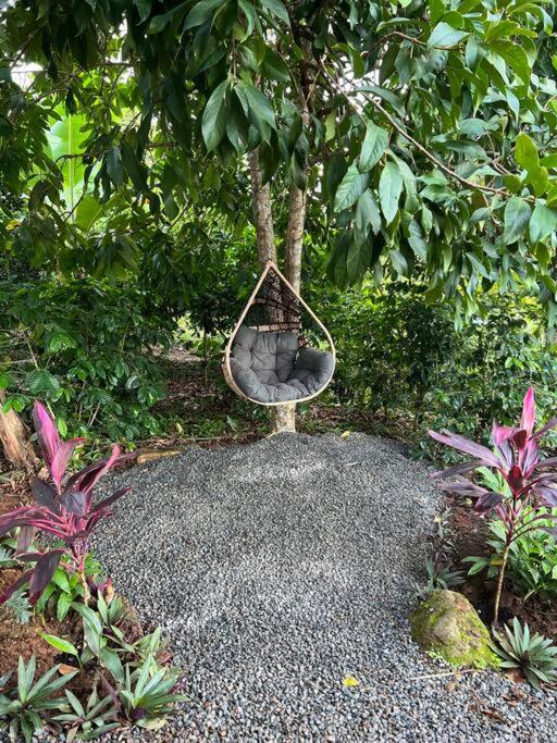 Casa Hummingbird Peace & Nature