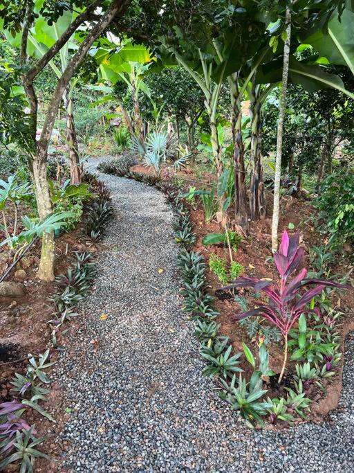 Casa Hummingbird Peace & Nature