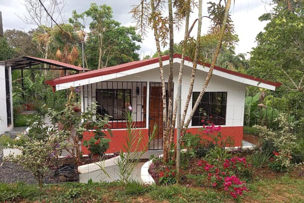 Casa Hummingbird Peace & Nature