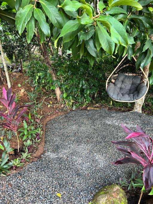Casa Hummingbird Peace & Nature