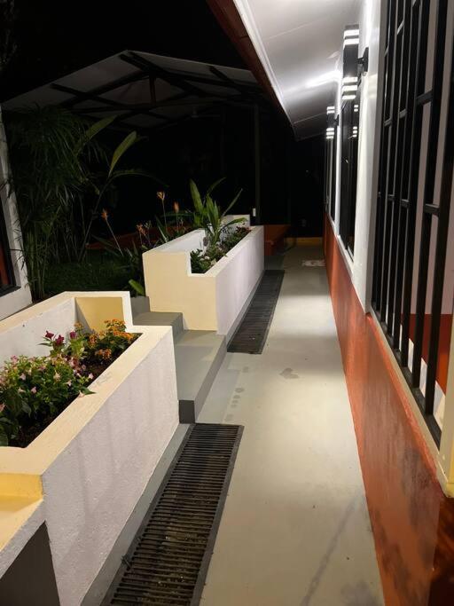 Casa Hummingbird Peace & Nature