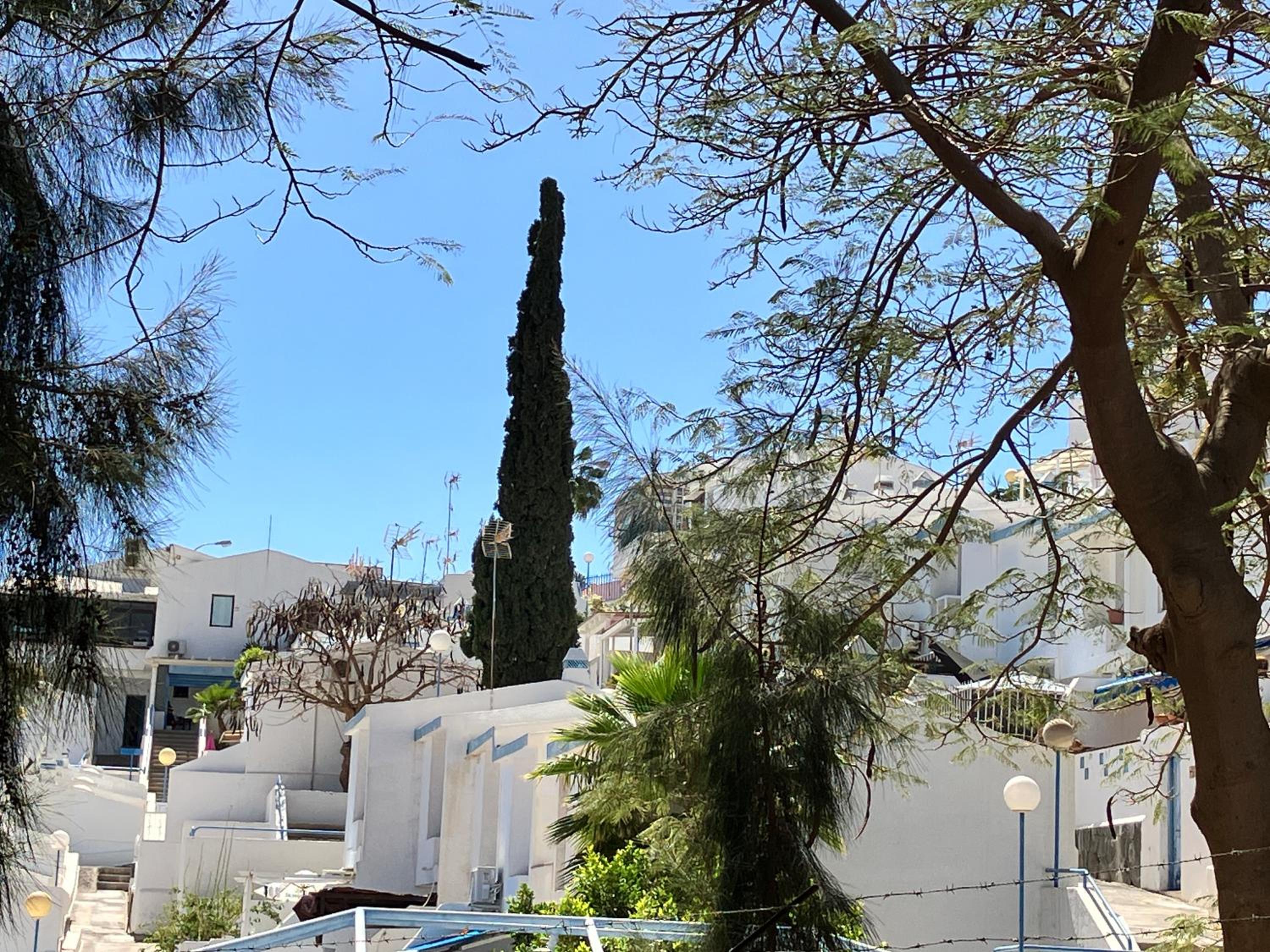 casAkash Maspalomas view 3