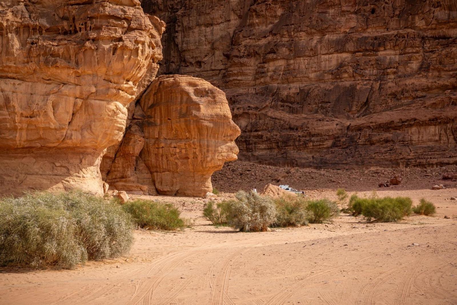 Bedouin oasis view 4