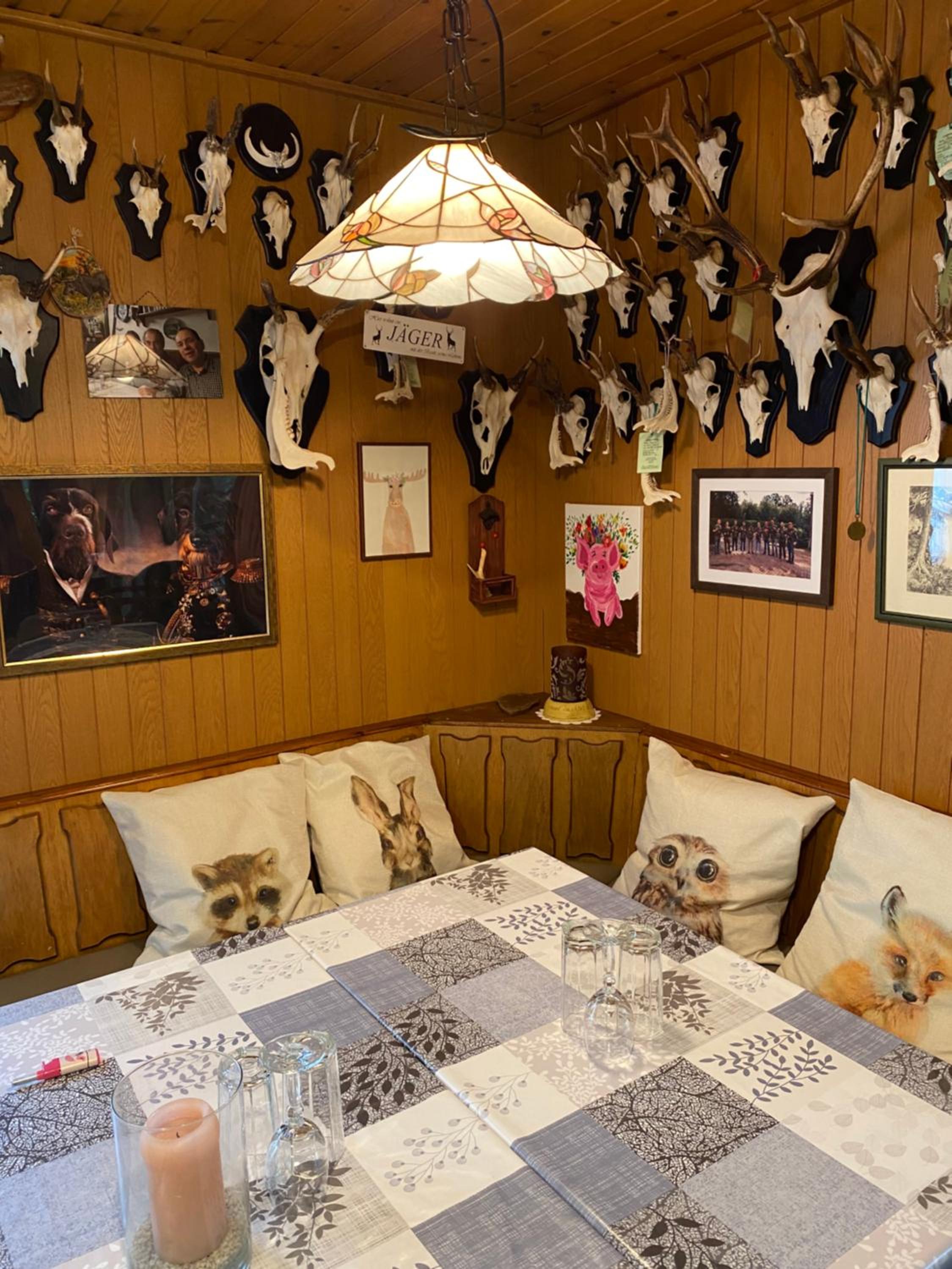 Schwedenhaus Dammer Berge