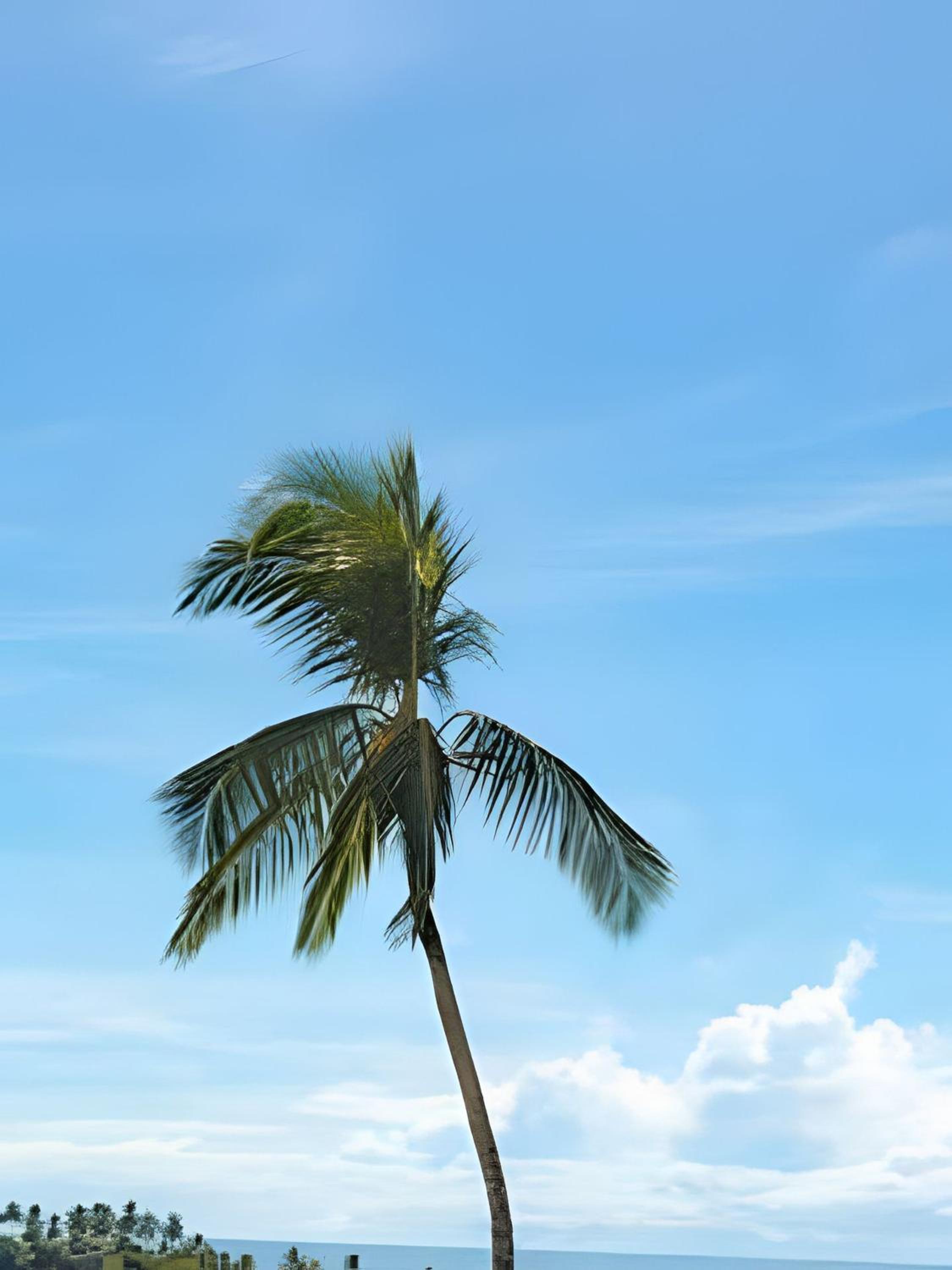 Sea and river Orla Itacaré - Casa Flor