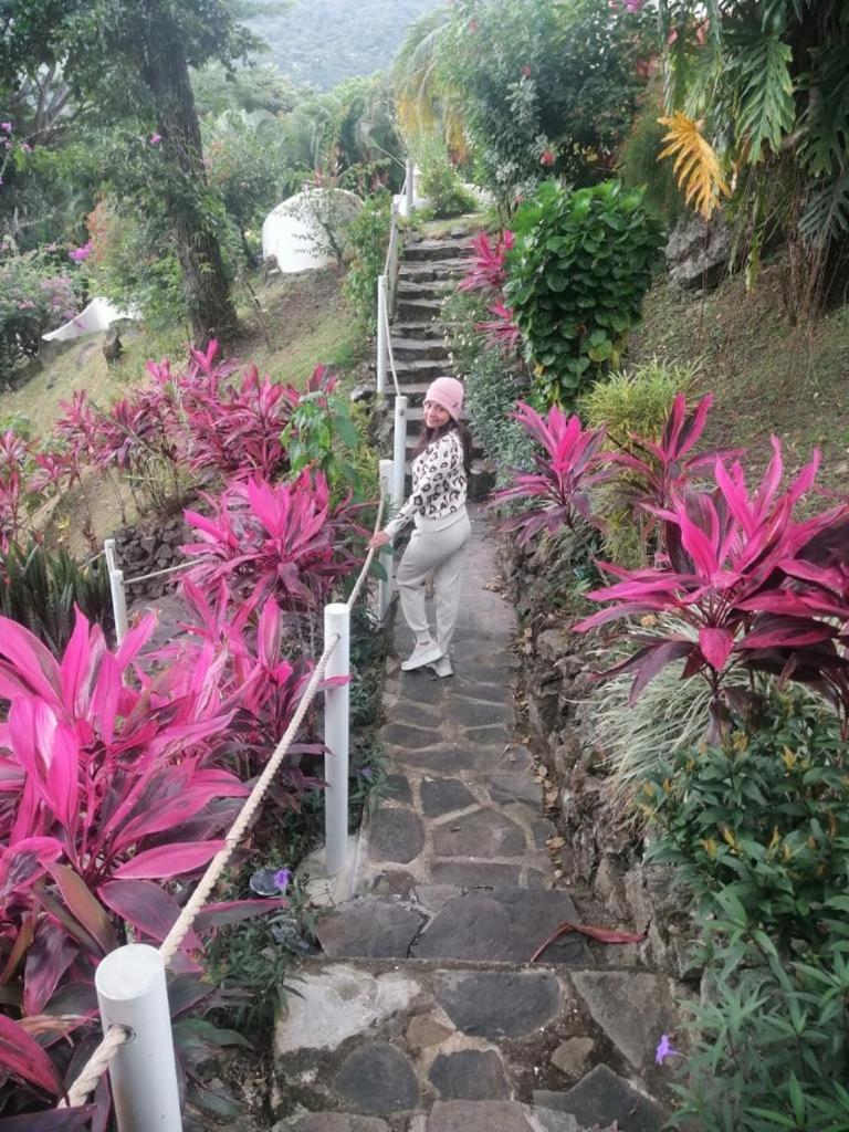 Photo 10