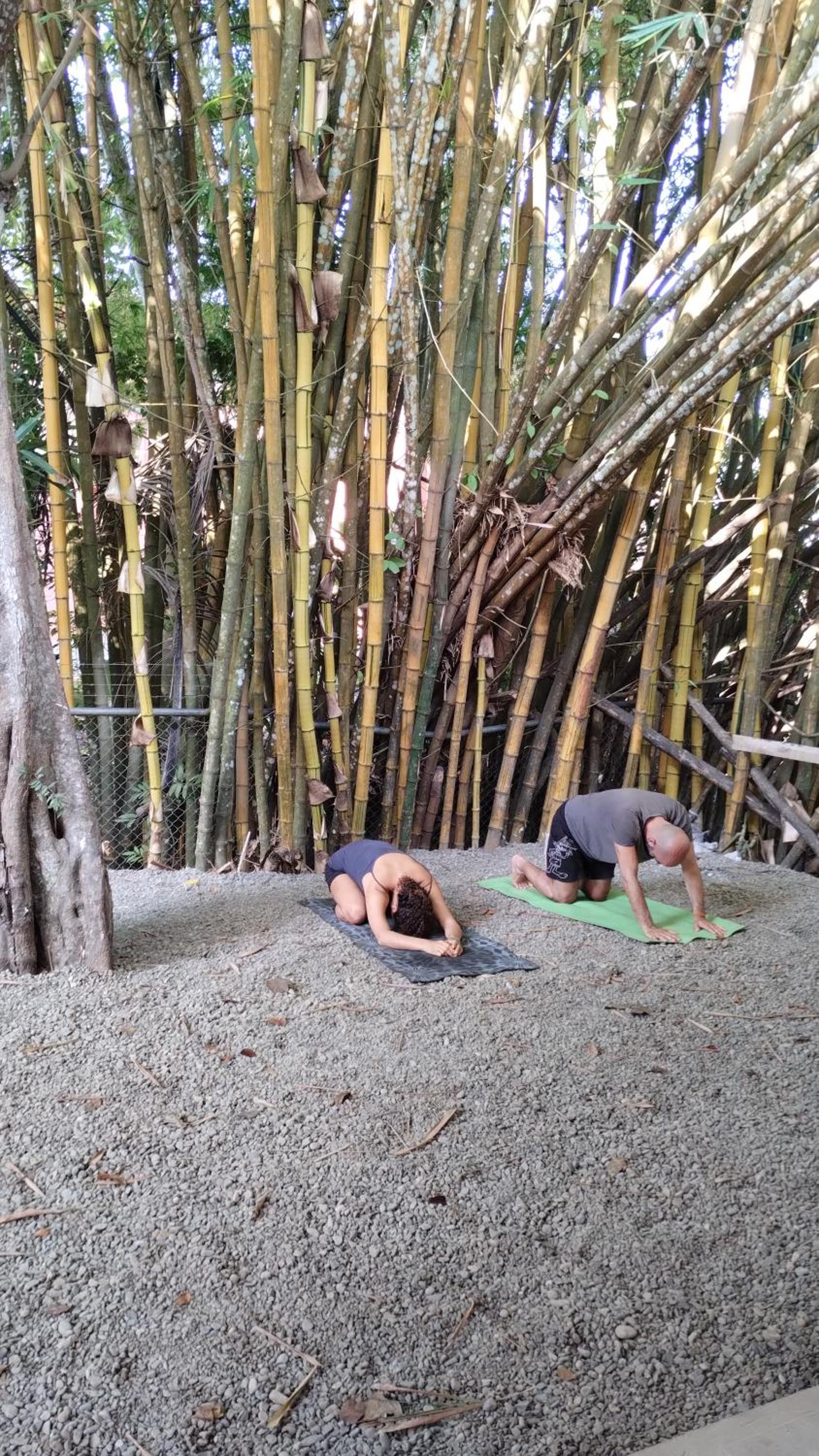 Casajungla Hostel