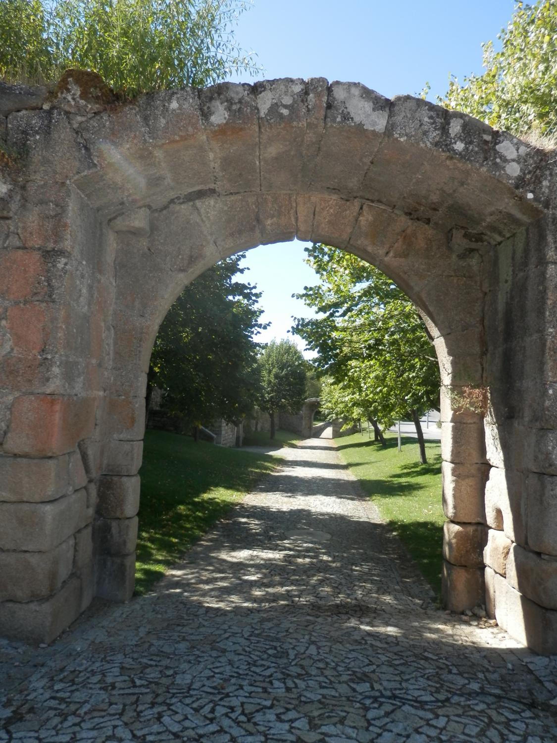 Photo 41