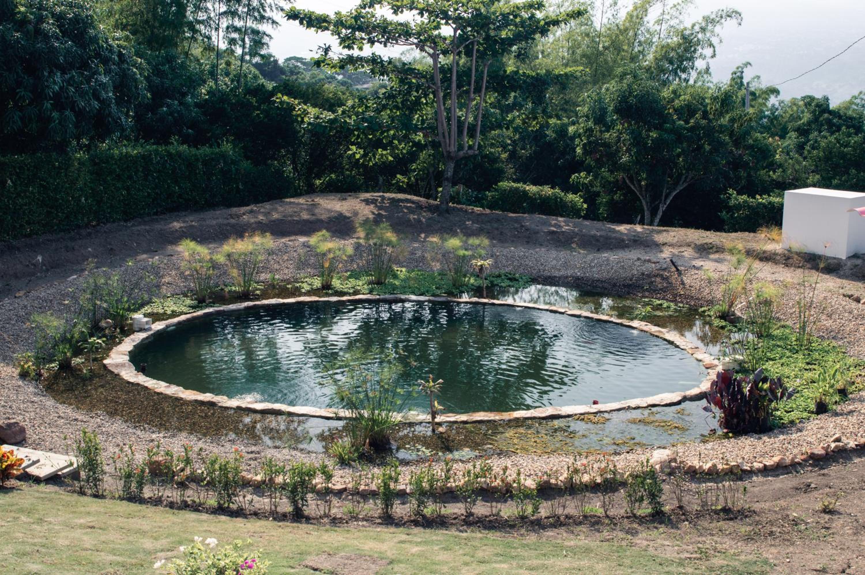 Guaduas de Jade Casa campestre