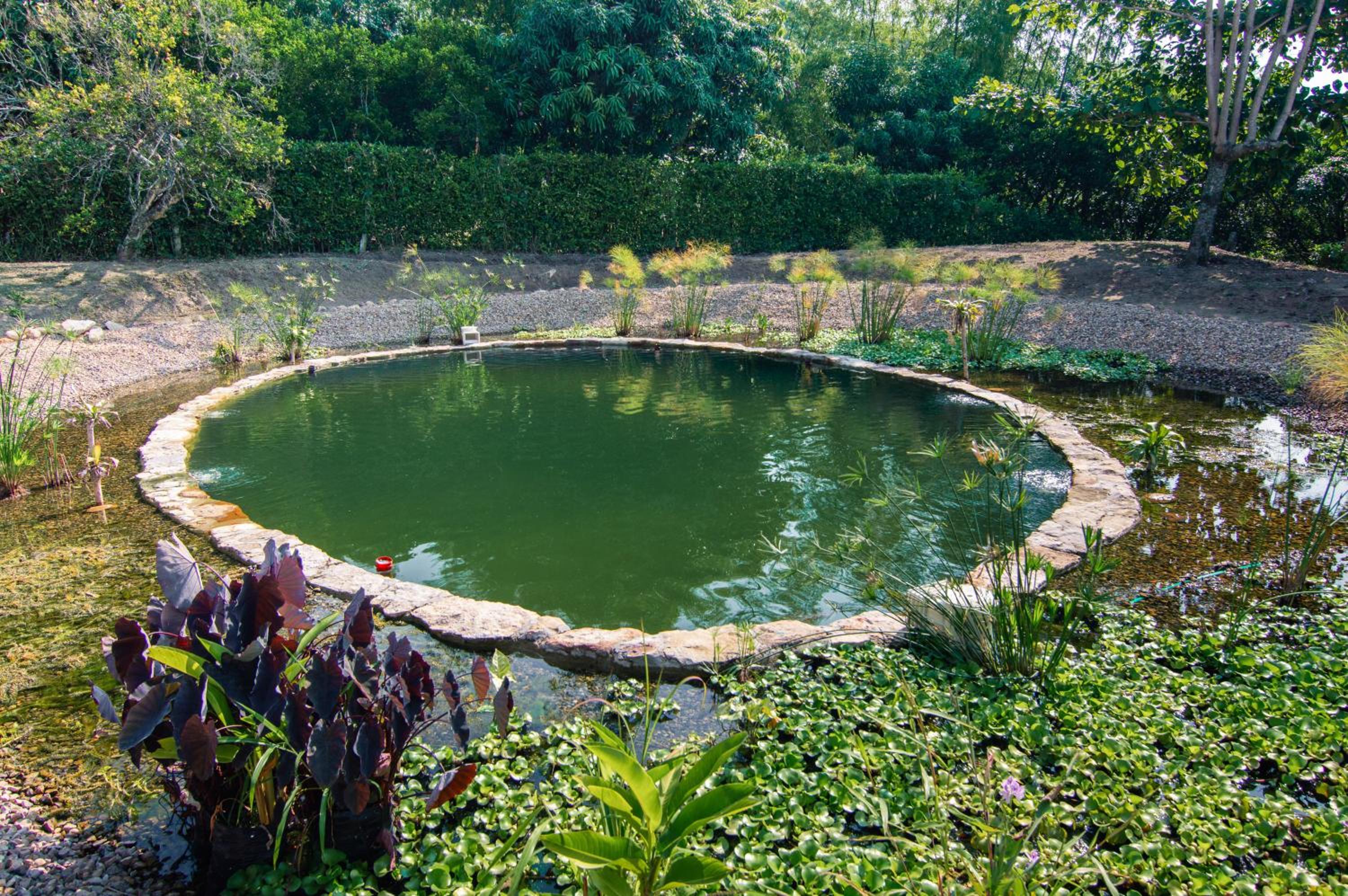 Guaduas de Jade Casa campestre