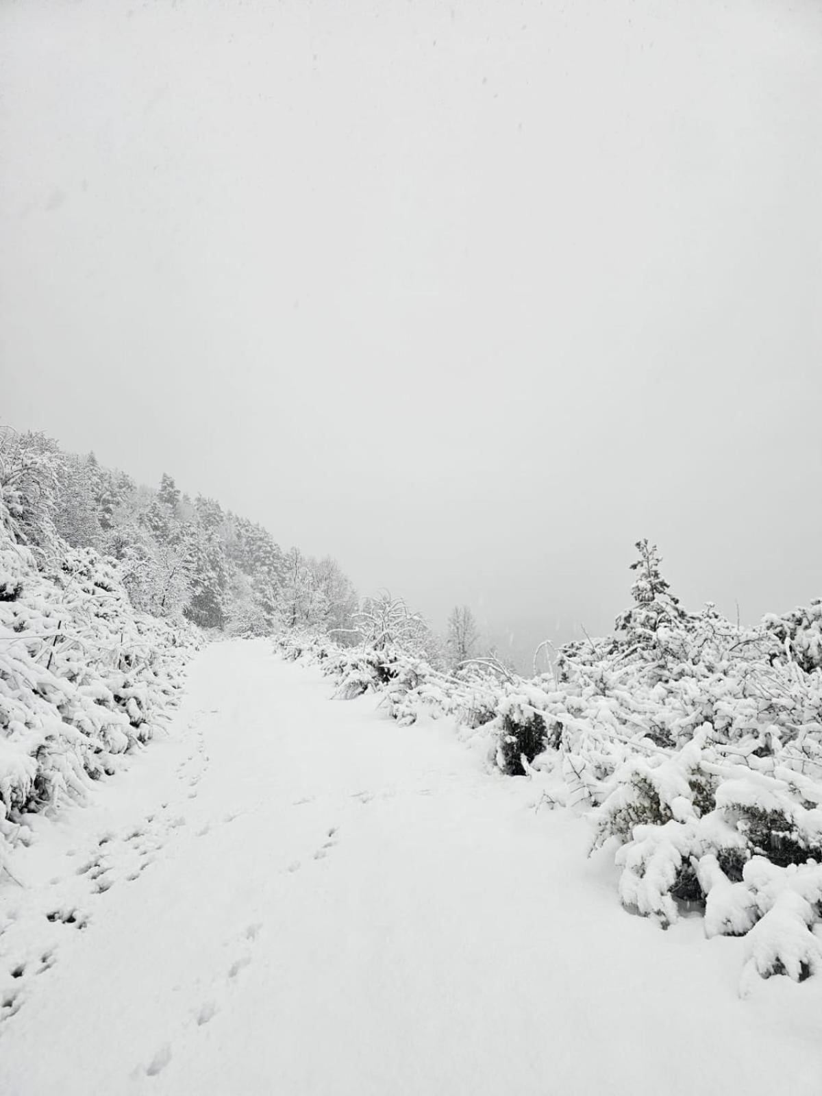 Saldes Pedraforca