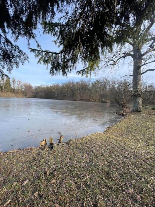 other