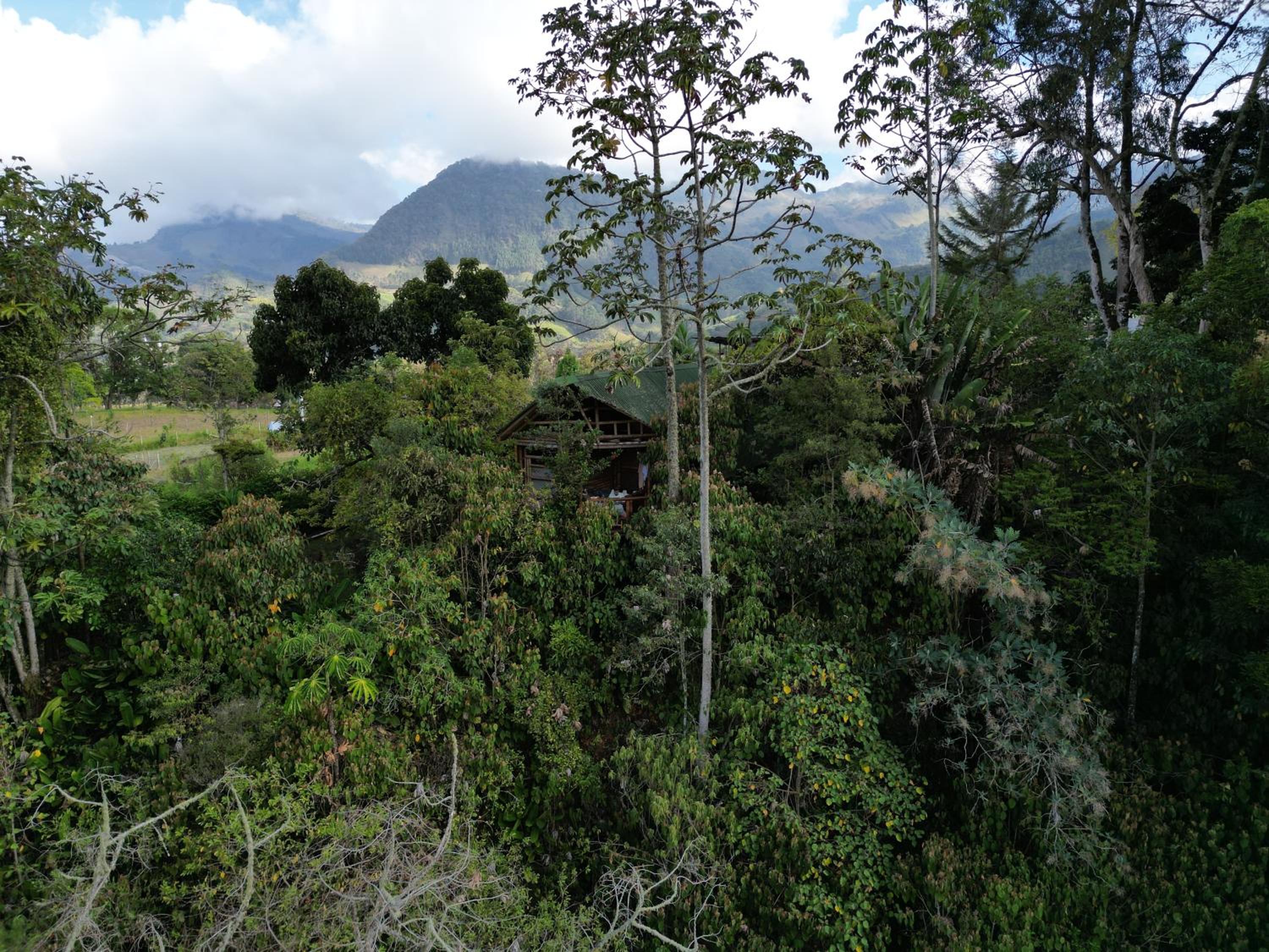 Cabaña Manantial del Turpial