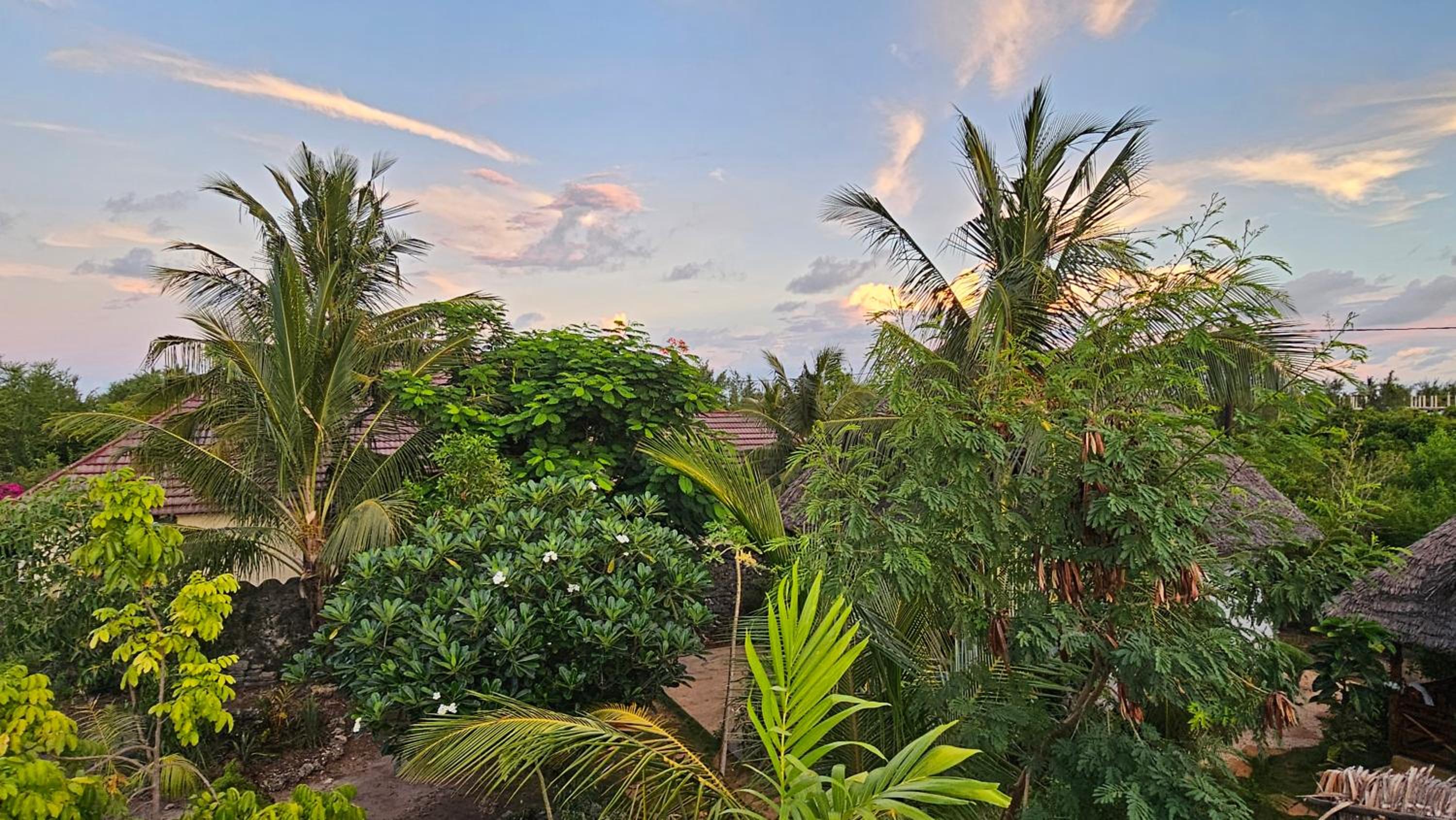 Cozy Bungalow - Garden, Terrace, Rooftop, Beach
