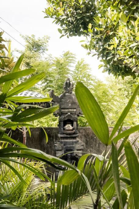 Rumah Mahira - Charming 1BR Home with Living Room and Full Kitchen, nestled in Quiet Uluwatu Jungle