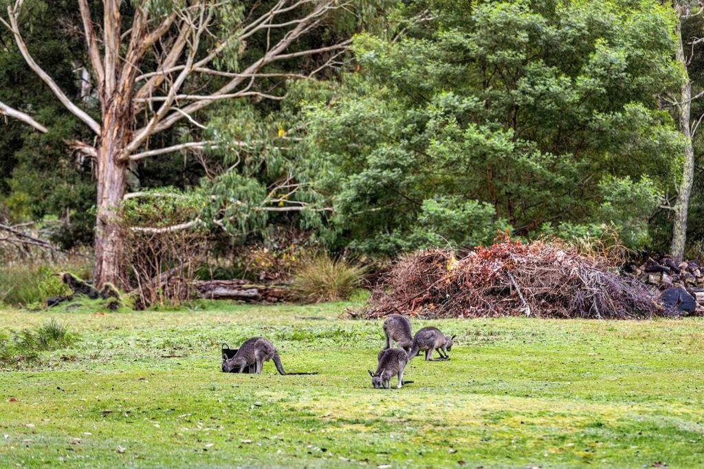 Halls Gap Retreat