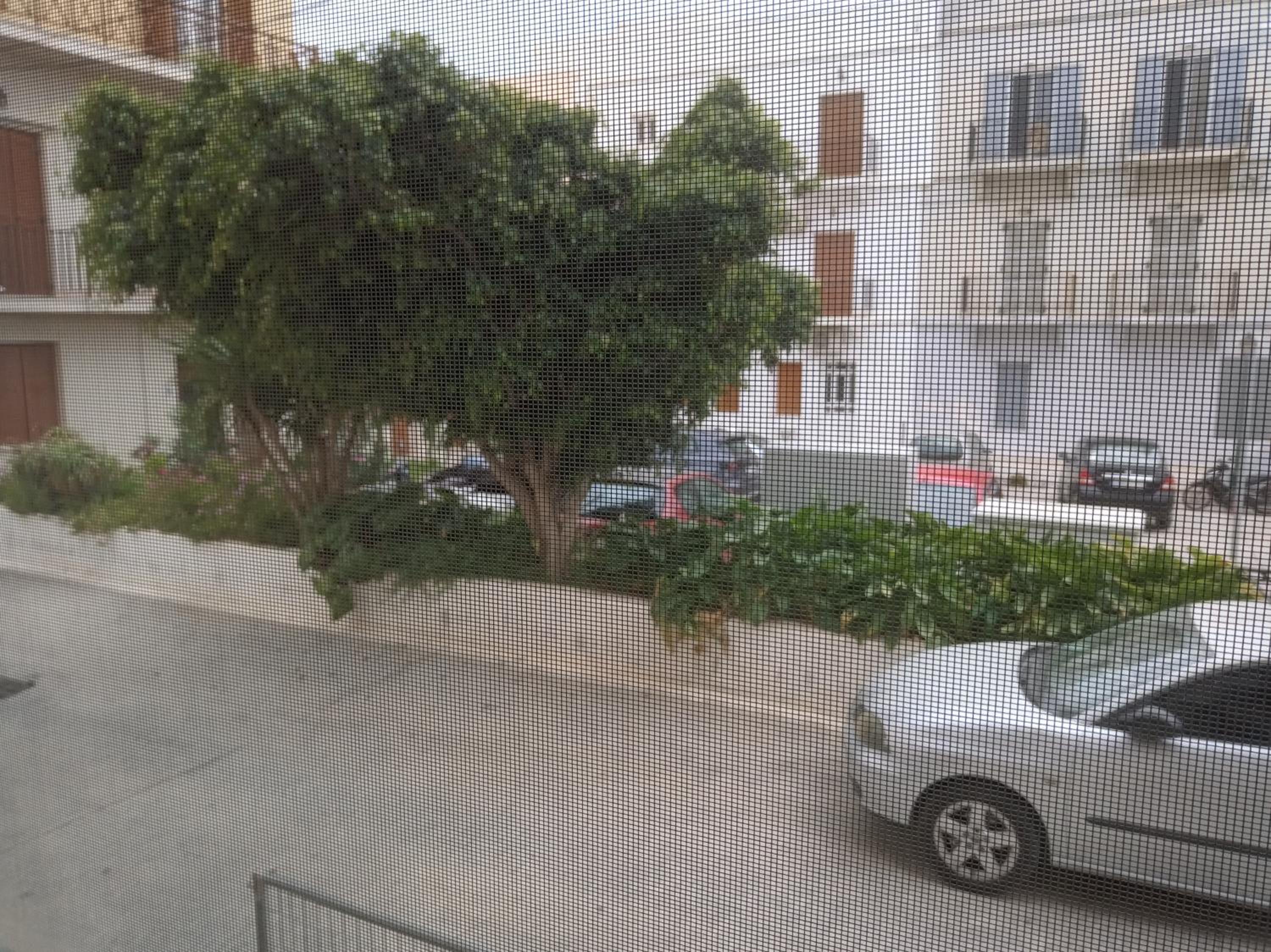 Aggelikis Apartment