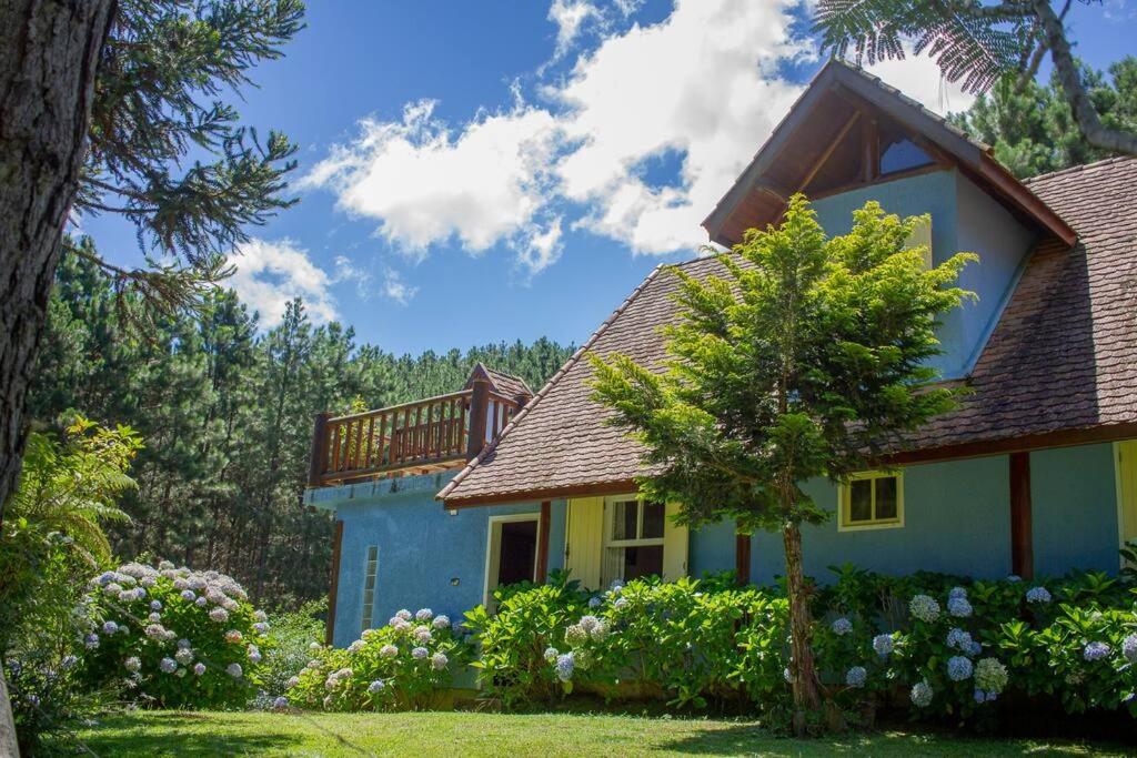 Casa de Campo - Alameda dos Pinus