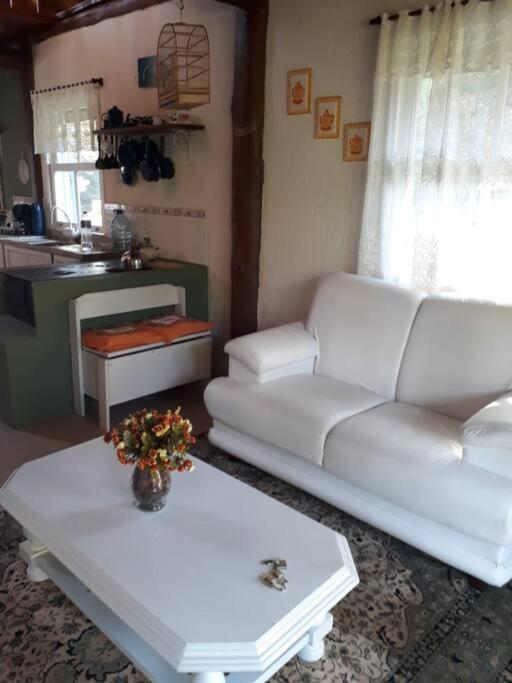 Casa de Campo - Alameda dos Pinus