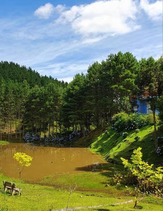 Casa de Campo - Alameda dos Pinus