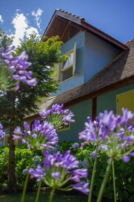 Casa de Campo - Alameda dos Pinus