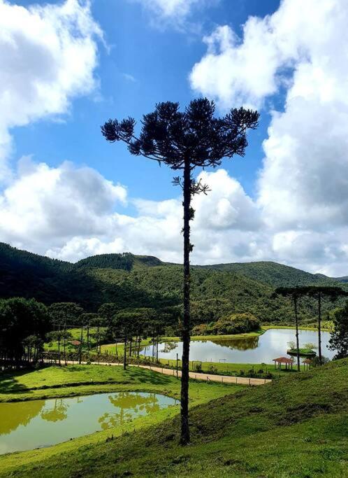 Casa de Campo - Alameda dos Pinus