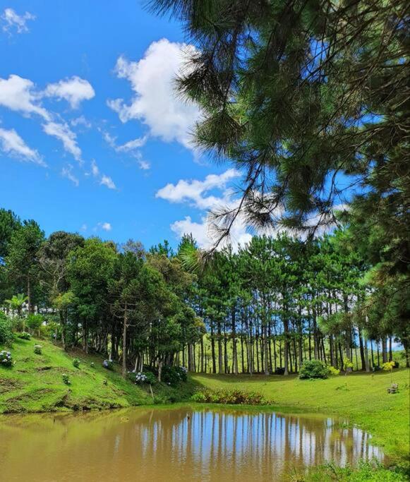 Casa de Campo - Alameda dos Pinus