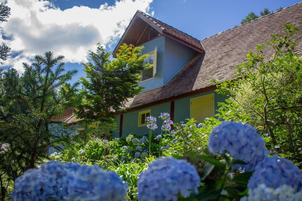 Casa de Campo - Alameda dos Pinus