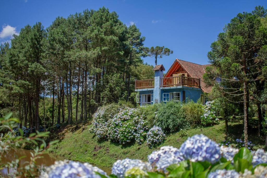 Casa de Campo - Alameda dos Pinus