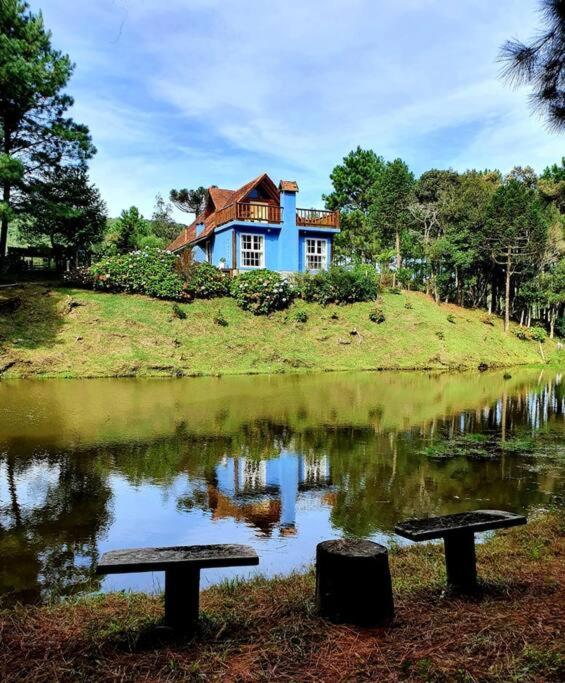 Casa de Campo - Alameda dos Pinus