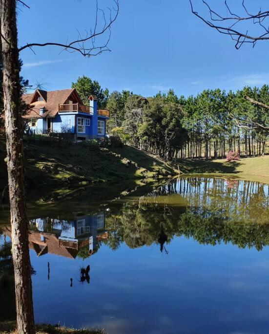Casa de Campo - Alameda dos Pinus