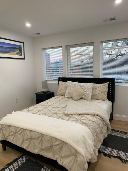 Newly renovated 2 bed DC #3 view 4