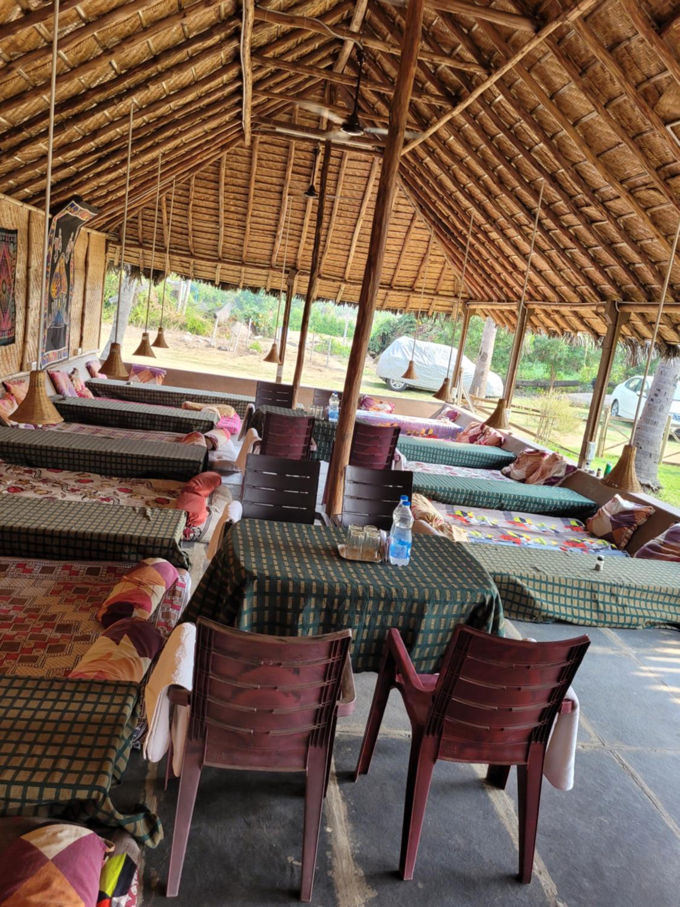 coconut tree guest house view 5