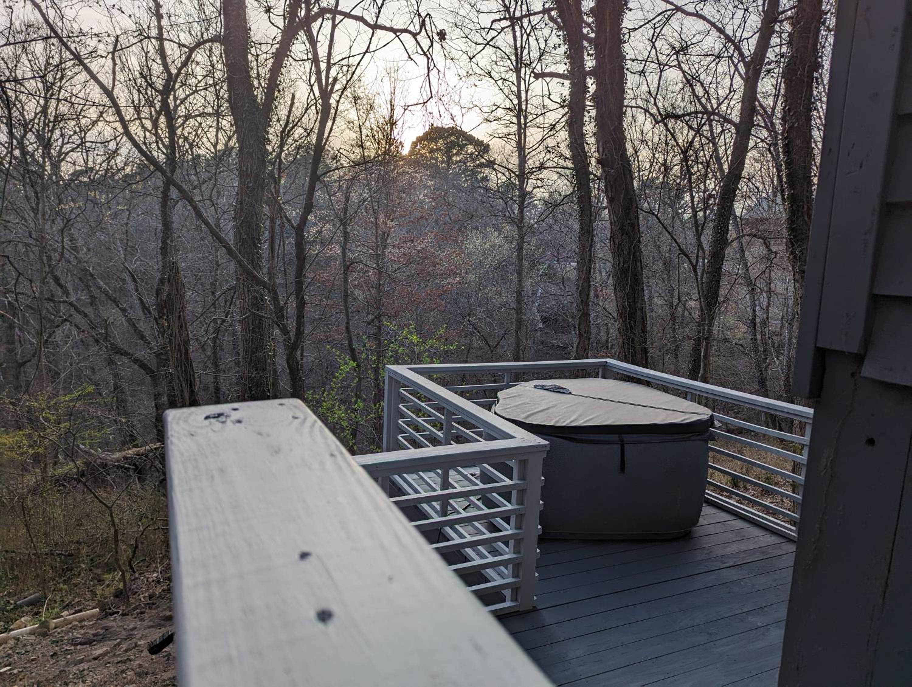 Loblolly Pines Adventure Cabin 4 King view 5