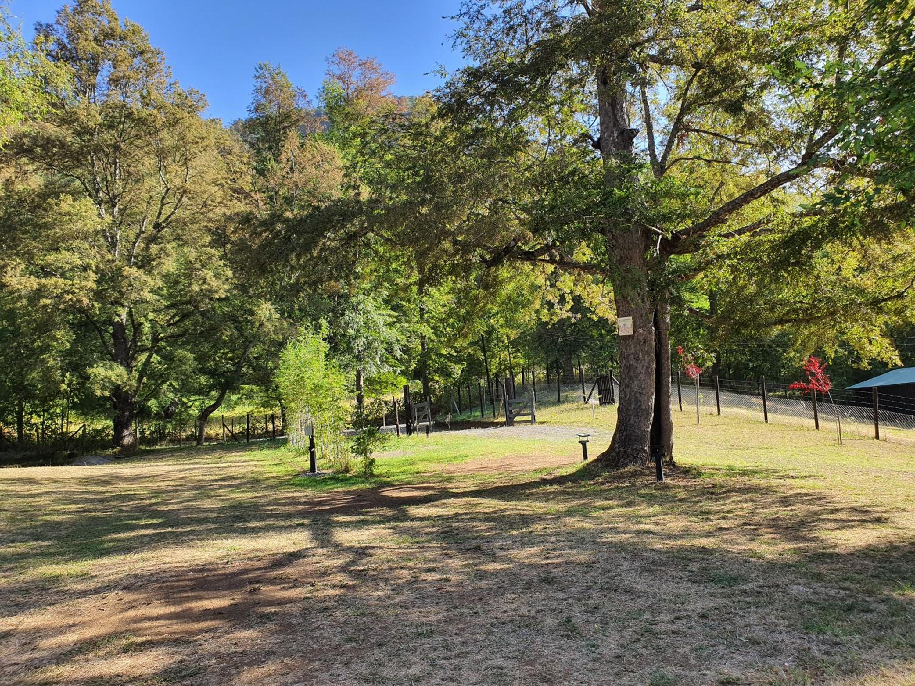 Refugio de montaña y termas en Pucón