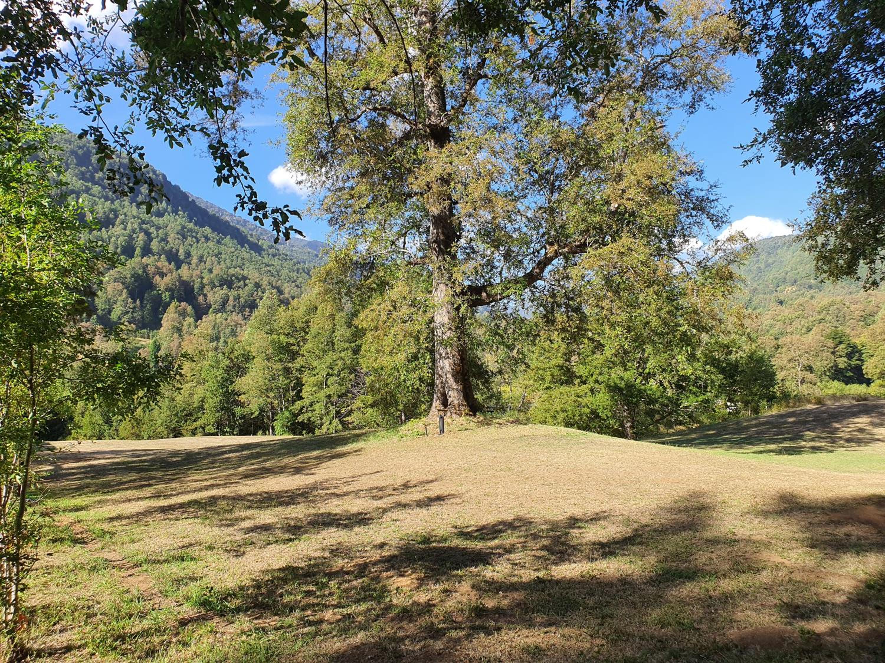Refugio de montaña y termas en Pucón