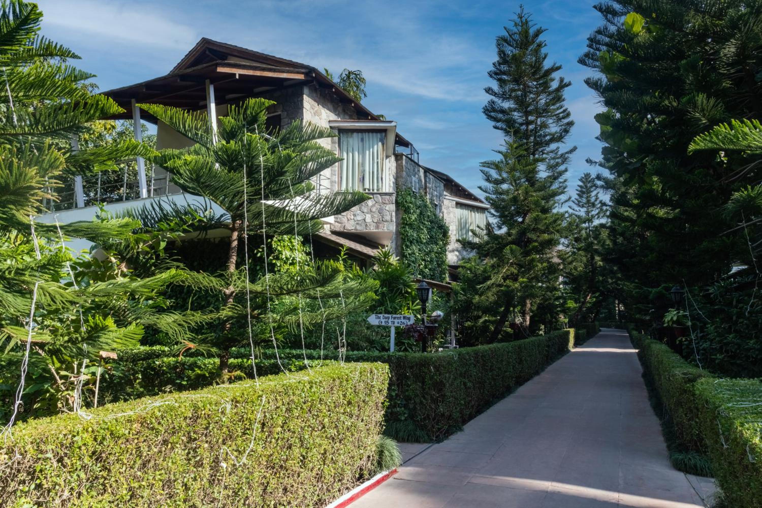 Wood castle Spa & Resort